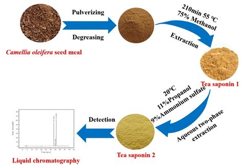 Molecules Free Full Text Quantitative Analysis Of Camellia Oleifera