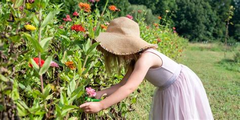 16 of the Most Beautiful Botanical Gardens in North Carolina