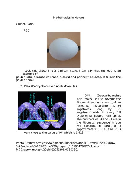 Mathematics In Nature Mathematics In Nature Golden Ratio Egg I Took