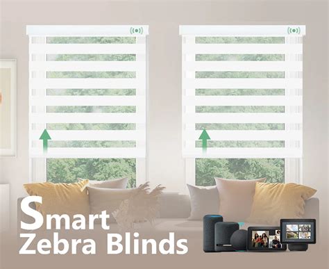 American Electric Smart Zebra Blinds Motorized Shades Digital Type For