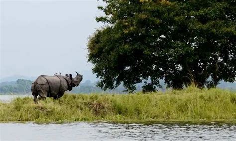 East India Wildlife Tour - 12 Days Eastern India Wildlife Holiday Package