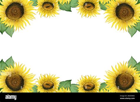 sunflower frame design with copy space, bright floral decoration with ...