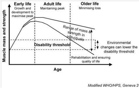 Sarcopenia How To Keep Muscle While Aging Larson Sports And Orthopaedics