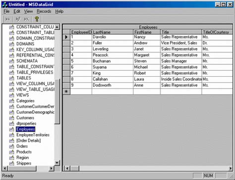 Using Ms Datagrid Control With Ado Csdn博客