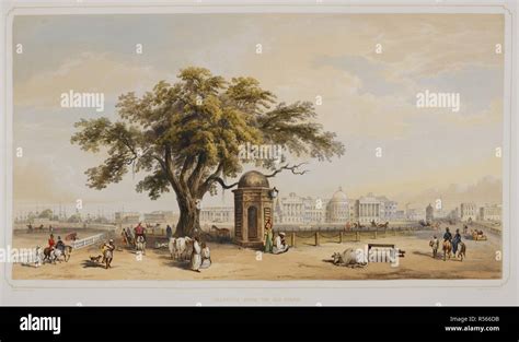 Calcutta from the old Course. A scene showing daily life. From Views Of Calcutta And Its ...