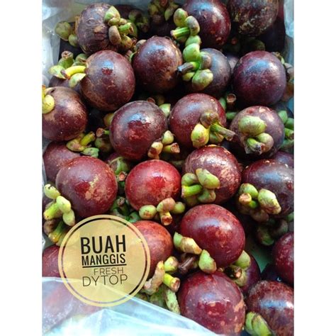 Jual Buah Manggis Super Fresh Manis Segar 1 Kg Shopee Indonesia