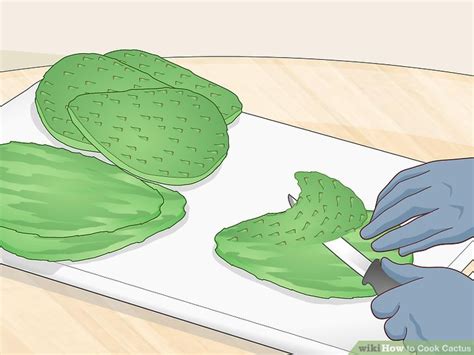 How To Cook Cactus With Pictures Wikihow Life