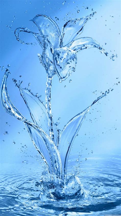 Beautiful Water Wallpaper Images Of Flowers Infoupdate Org