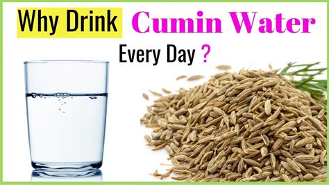 Cumin Water 7 Benefits To Starting Drink Every Day Youtube