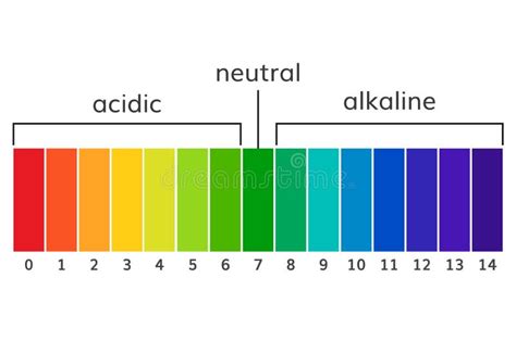 Skala Av Ph V Rde F R Syrliga Och Alkaliska L Sningar Vektor