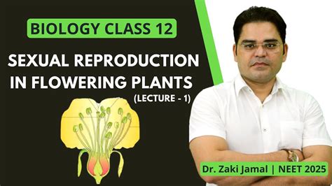 Sexual Reproduction In Flowering Plants I Dr Zaki Lectures I Neet 2025 L Lecture 1 Youtube