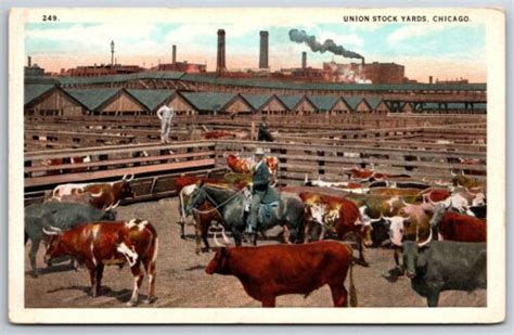 Chicago Illinoisunion Stock Yardscattle In Pensman On Horseback