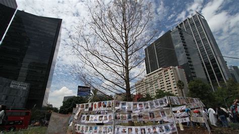 Ahuehuete De Reforma El Heraldo De M Xico