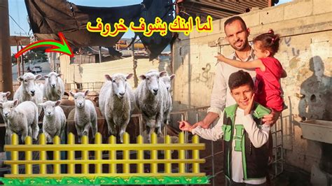 لما تروح تشتري خروف العيد وتاخد ابنك معك🐑اشترينا خروف العيد Youtube