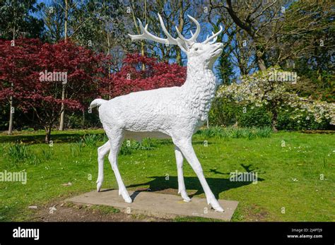 Statue In A Garden Of A White Stagdeer Stock Photo Alamy