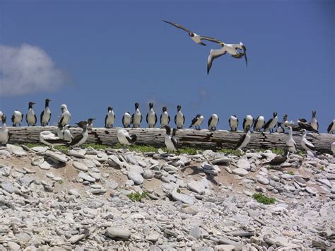 Howland Island National Monument