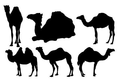 Free Camel Silhouette Vector - Download Free Vector Art, Stock Graphics ...