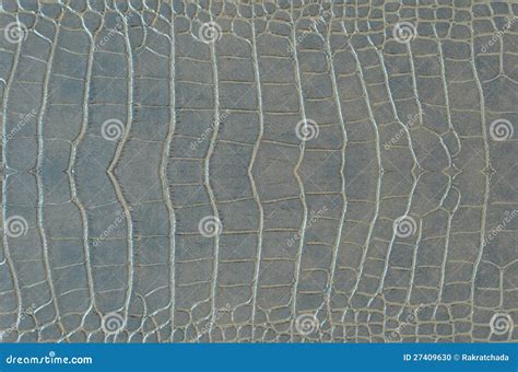 Crocodile Skin stock photo. Image of skin, decor, abstract - 27409630