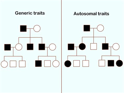 How To Read A Pedigree Chart - Free Worksheets Printable