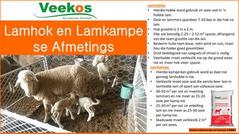 Intensiewe Skaapboerdery Veekos Sa