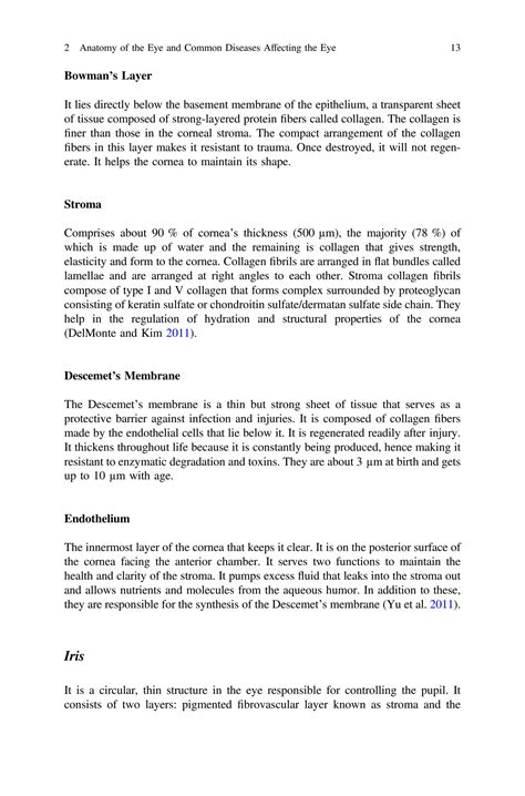 Solution Anatomy Of The Eye And Common Diseases Affecting The Eye
