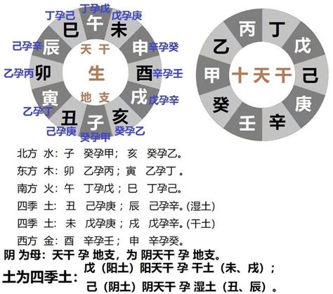 地支的本气、杂气、藏干、寓意、计时、生肖