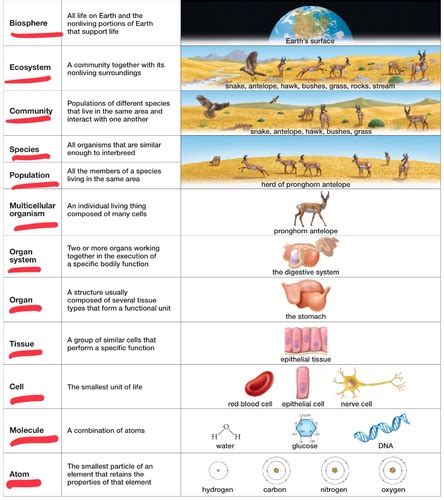 Biology 100 Chapter 1 And 2 Flashcards Quizlet