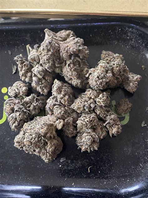 Strain Review Cyberfunk By Guss Real Exotics The Highest Critic