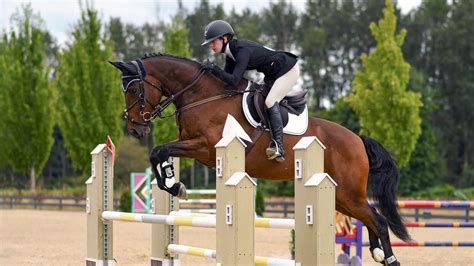 Professional Horse Jumping Photography