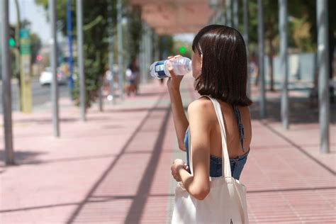 Primera Ola De Calor Del Verano En Espa A Con Noches Tropicales Y M S