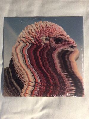 Holy Fuck NEW 10 Vinyl EP Bird Brains 4 Track 2017 Innovative Leisure