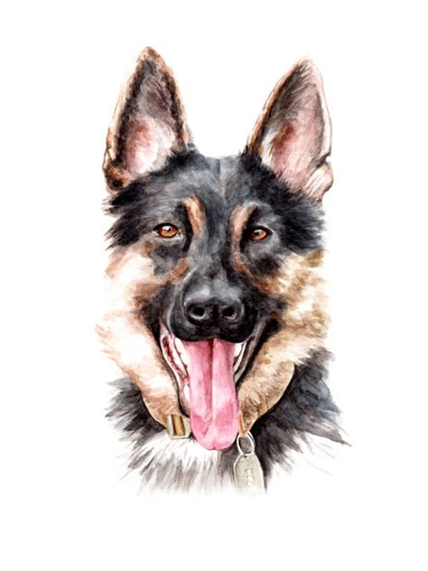 German Shepherd Watercolor German Shepherd Art German Shepherd