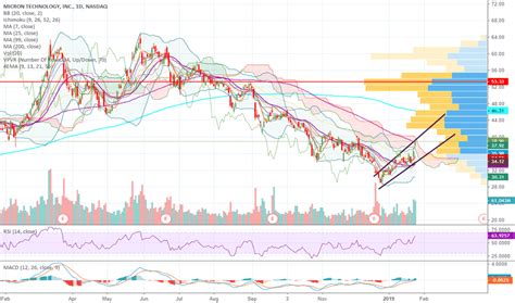 stock price  chart tradingview