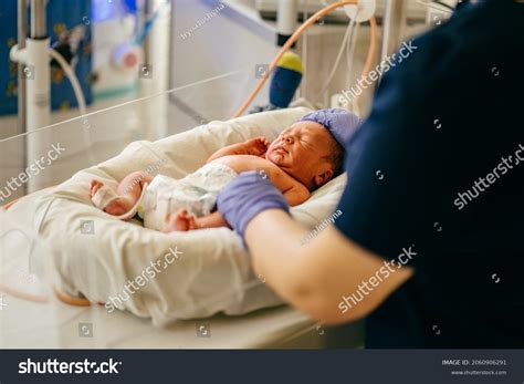 Newborn Incubators Images Stock Photos Vectors Shutterstock