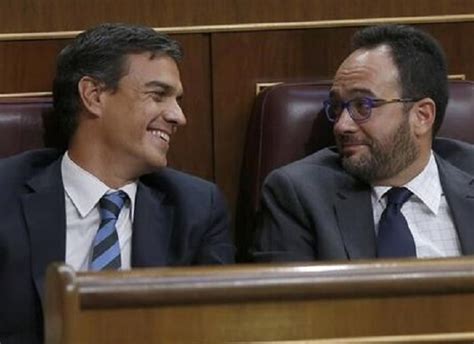 El Psoe Coloca A Almer A En La Primera Divisi N De La Pol Tica Nacional