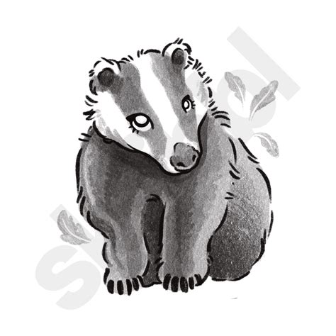 Premium 'Badger' Illustration | Adorable Animals