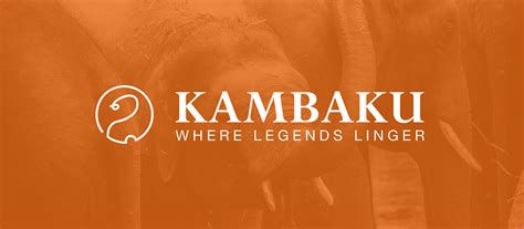 Kambaku Safari Lodge Logo Designs Behance