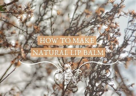 How To Make Natural Lip Balm Natural Lip Balm Recipe Earthy Vibes