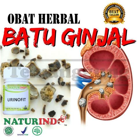 Jual Infeksi Ginjal Infeksi Saluran Kemih Batu Ginjal Memperbaiki