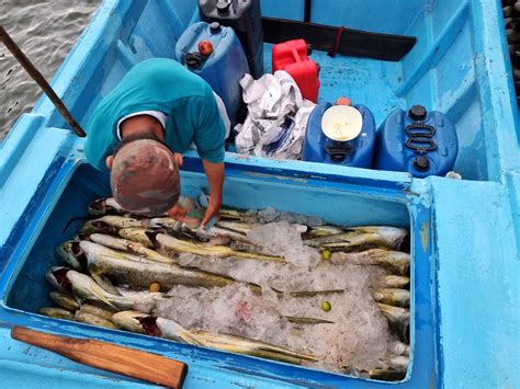 Interceptadas Tres Lanchas Extranjeras Con 1 6 Toneladas De Pesca