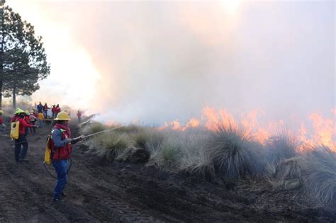 Realizan Quemas Controladas Para Prevenir Incendios Forestales