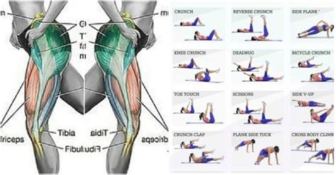 The 3 Exercise Workout For Strong And Powerful Glutes