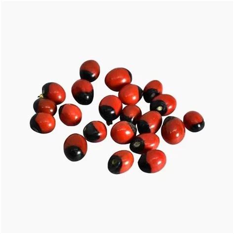 Smooth Red Lal Gunja Chirmi Abrus Seeds Beads At Rs 650kg In Delhi