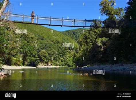 Kaitoke Regional Park Hi Res Stock Photography And Images Alamy