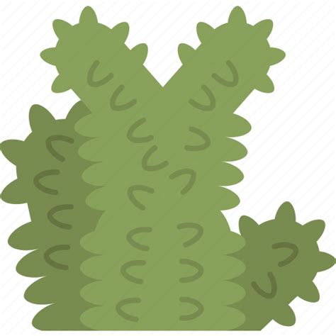 Cactus, jumping, cholla, desert, garden icon - Download on Iconfinder