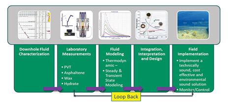 Integrating Flow Assurance Engineering Domains Ensures Operations In