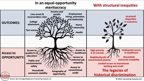 Systems Of Racial Oppression Institute For Humane Education