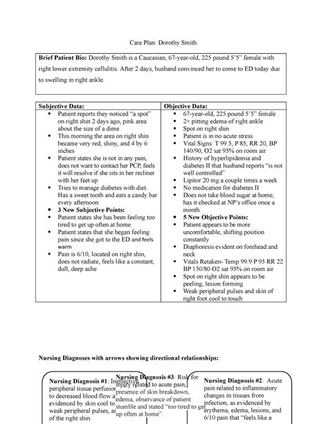 Nrsg Concept Map Assignment Template Copy Care Plan Dorothy