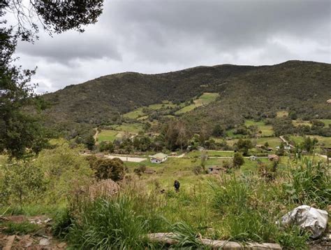 Panor Mica Del Bosque De La Reserva Comunitaria Uchucay Perteneciente