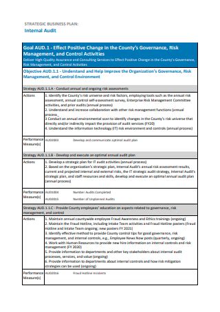 FREE 22 Internal Audit Strategic Plan Samples PDF Word